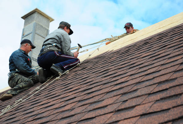 Professional Roofing Contractor in Pepperdine University, CA